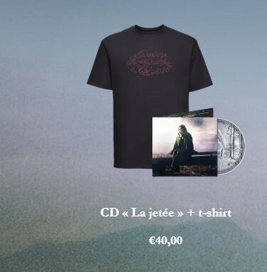 Exemple de page interne du site Asinine.