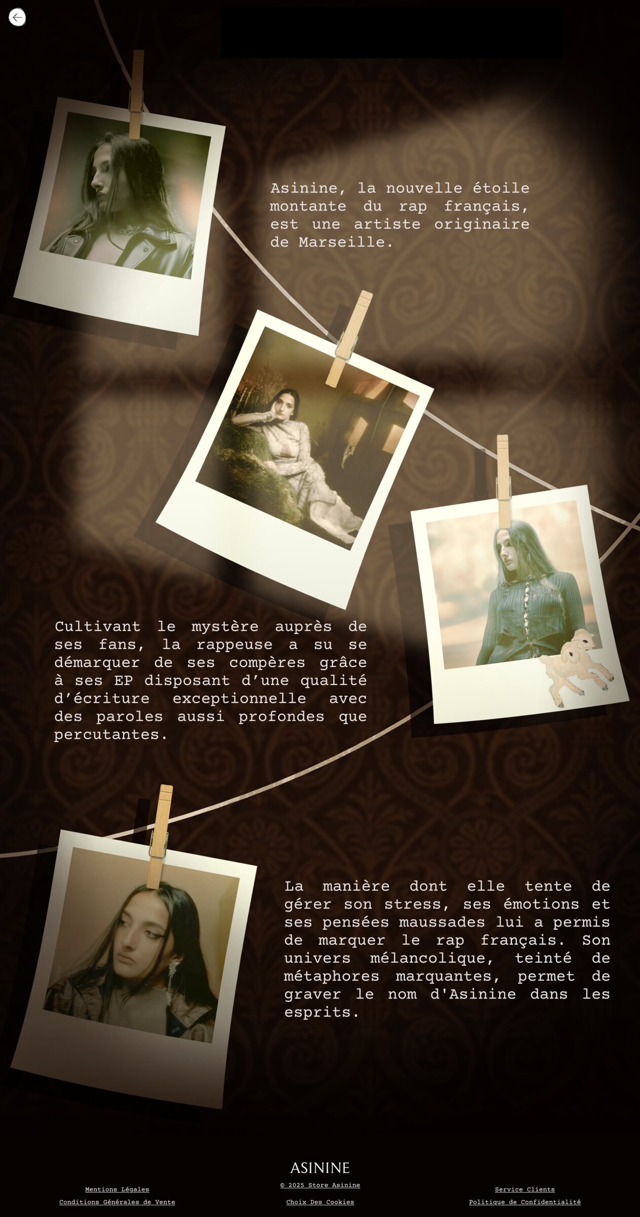 Galerie photos du site Asinine.